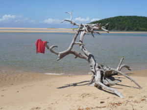 kzn2