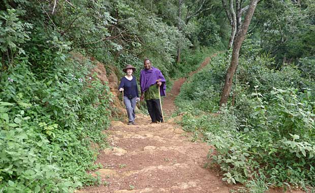 Elephant cave walk