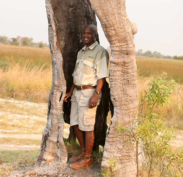 Guide in a Tree