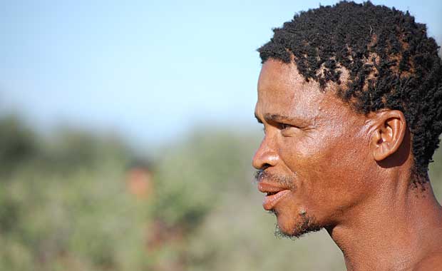 San Bushman