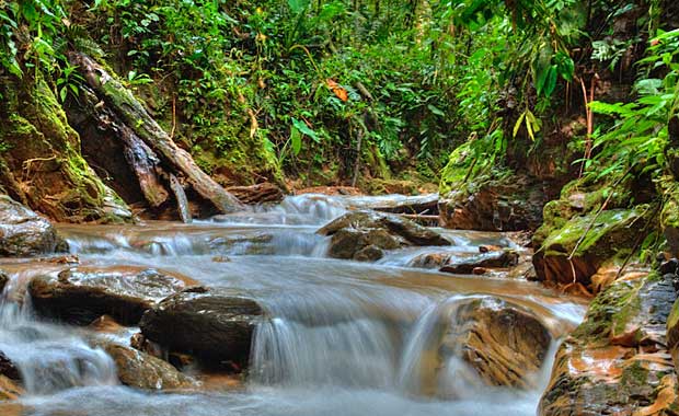cloud-forest-river