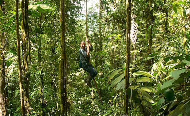 cloud-forest-rope-swing