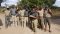 Kigelia Ruaha staff, Tanzania