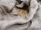 IMG_20190827_143136
