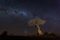 Night skies in Mashatu Game Reserve, Tuli, Botswana