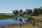 Linyanti River, Botswana