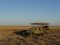 Kalahari game drive at Tau Pan, Botswana