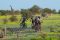 Cycling in Mashatu Game Reserve, Tuli, Botswana