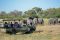 Watching elephants with Kwando, Botswana