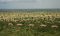 Tau Pan Camp form the air, Kalahari, Botswana