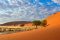 Sossusvlei dunes, Namibia