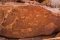 Twyfelfontein rock art, Namibia