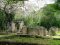 Gedi ruins, near Watamu, Kenya Coast