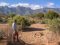 The Mathews Range from Namunyak Wildlife Conservancy, northern Kenya