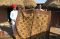 Rug weavers in Bishnoi village, India