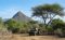 Safari in the Mathews Range from Namunyak Wildlife Conservancy, northern Kenya