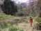Walking in Mathews Range, northern Kenya