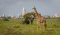 Giraffe in Nairobi National Park with cityscape in background