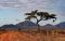 Landscape of Tsavo East National Park, Kenya