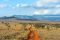 Landscape of Tsavo, Kenya