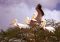 Great white pelicans, Lake Nakuru, Rift Valley, Kenya