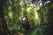 Ziplining at Pacuare Lodge, Costa Rica