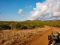 Driving through inland KwaZulu Natal, South Africa