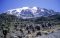 Trekking to Karanga, Kilimanjaro, Tanzania
