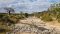 Ruaha scenery, Tanzania