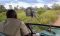 Elephant on game drive with Mwagusi Camp, Ruaha, Tanzania