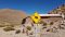 Guanaco road sign, Atacama, Chile