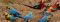 See macaws at the clay lick while at Amazon Villa