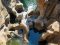 Bourke's Luck Potholes, Panorama Route, South Africa