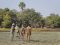 Kafunta bush walk