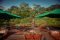 Cristalino Lodge, Brazil