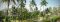 Carnoustie Beach Resort gardens