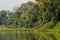 Exploring the Peruvian Amazon rainforest
