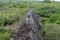 The Wall of Tears, Isabela, Galapagos Islands