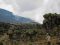 Descending to Barranco, Kilimanjaro, Tanzania