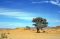 Elephant in Damaraland, Namibia