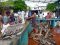 Puerto Ayora fish market, Galapagos Islands