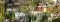 the gardens at Four Rosmead