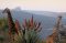 Giraffe and Isandlwana