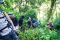 Gorilla Trekking Experience
