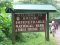 Gorilla trekking from Bwindi, Feb 10