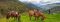 Horse riding at Hacienda Manteles