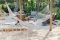Hammock at Thonga Beach Lodge
