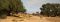Giraffes at Hoanib Valley Camp