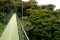 Hanging bridges, Costa Rica