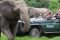 Kariega Game Drive